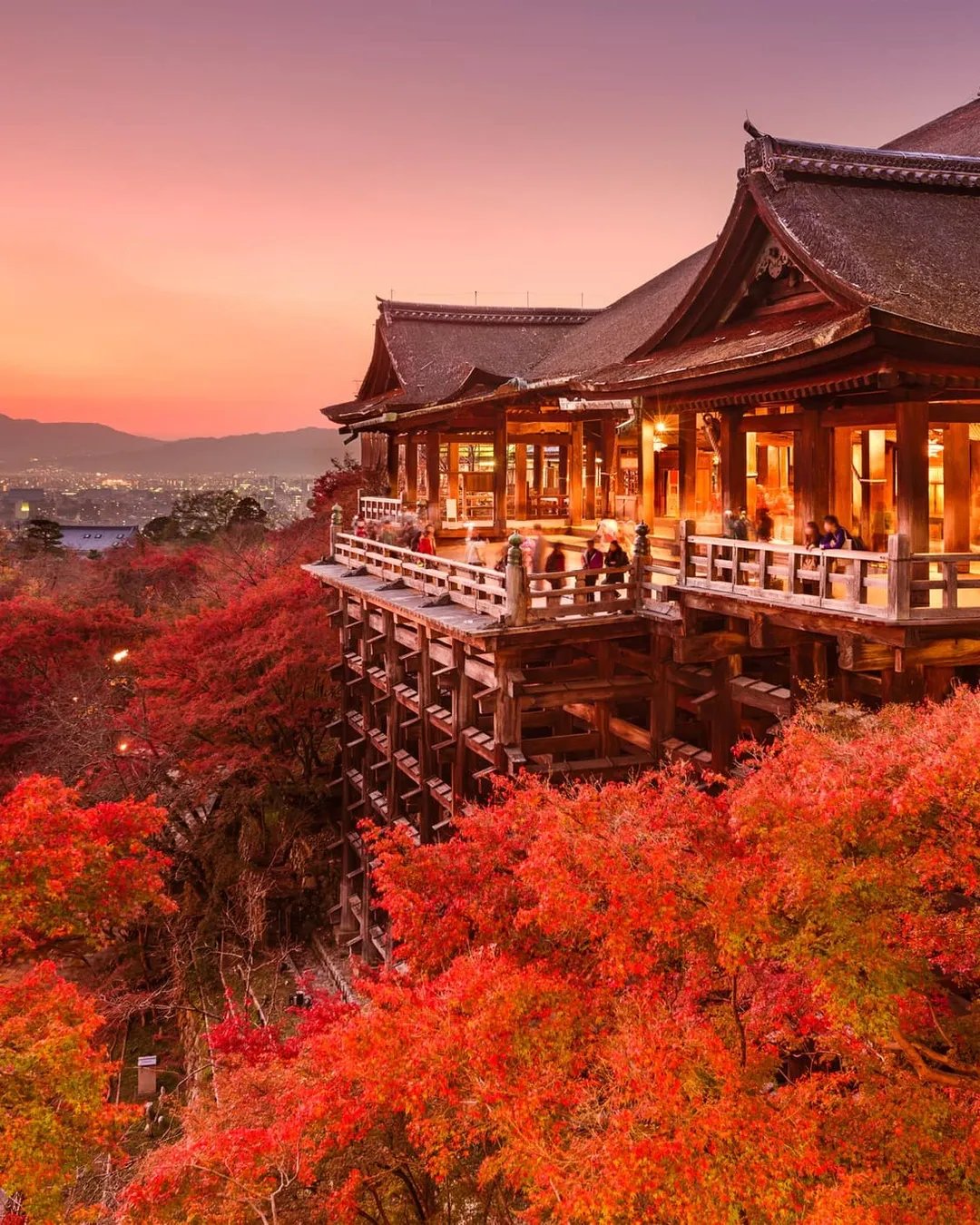 ⛩️ 시라히게 신사(白鬚神社) 이미지 7